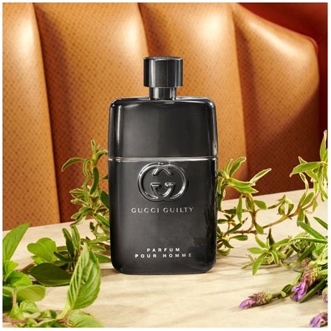 gucci guilty pourhomme.